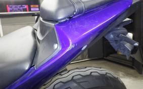 YAMAHA YZF-R25 A 2010 RG43J