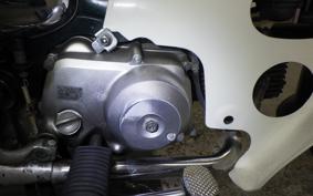 HONDA C50 SUPER CUB 2020 C50