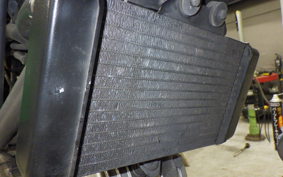 HONDA VTR 250 2024 MC33