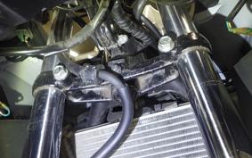 HONDA CBR250R GEN 3 2015 MC41