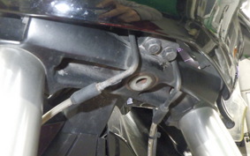 OTHER +ｳﾞｨｸﾄﾘｰｸﾛｽｶﾝﾄﾘｰ TOUR 2015