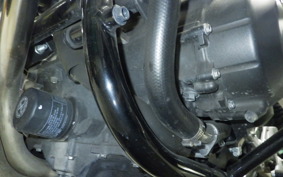 HONDA CB1300SF SUPER FOUR Gen. 3 2022 SC54