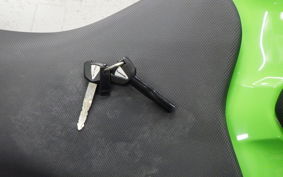 KAWASAKI NINJA 250 2 2020 EX250P