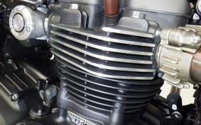 TRIUMPH SPEED TWIN 2024