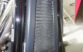 HARLEY FLSB 1750 2019