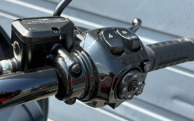 HARLEY FLTRX 2024 KH7