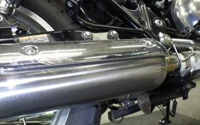 KAWASAKI W800 2016 EJ800A