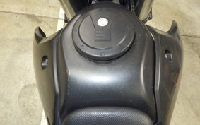 KAWASAKI KLX250D TRACKER X 2008 LX250V