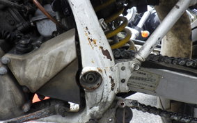 HONDA CRM250R GEN 3 MD24