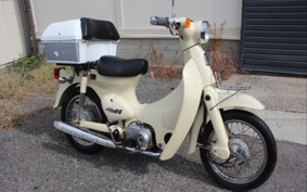 HONDA LITTLE CUB C50
