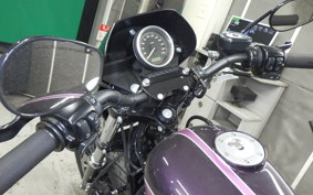 OTHER +HD. XL1200X 2010