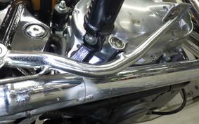 KAWASAKI W800 2011 EJ800A