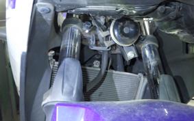 YAMAHA YZF-R25 2020 RG10J