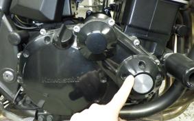 KAWASAKI ZRX1200 D 2009 ZRT20D