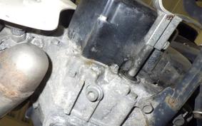 HONDA C50 SUPER CUB 1996 AA01