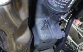 KAWASAKI Z900RS 2025 ZR900K