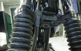 KAWASAKI W800 2016 EJ800A