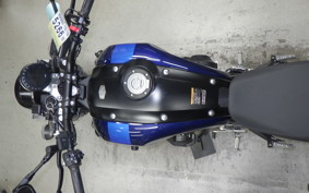 YAMAHA XSR900 2019