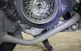 HONDA ZOOMER-X 2025 JF52