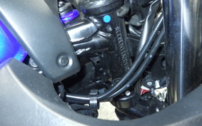 SUZUKI GSX250 R