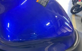 YAMAHA YZF-R25 RG43J