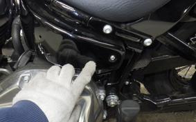 HARLEY FLSL 1750 2020