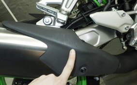 KAWASAKI ZX-4RR 2024 ZX400P