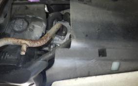 YAMAHA VINO 50 SA37J