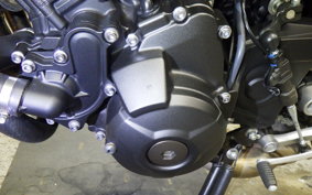 YAMAHA MT-09 ASP 2021 RN52J