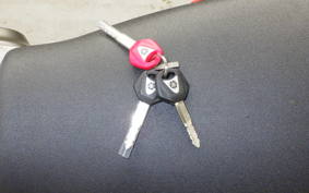 YAMAHA XSR900 GP 2024 RN96J