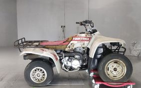 HONDA TRX300FW TE15
