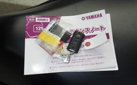 YAMAHA N-MAX SEG6J