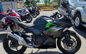 KAWASAKI NINJA 250 EX250Y