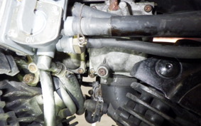 YAMAHA SRV250 RENAISSA 2009 4DN
