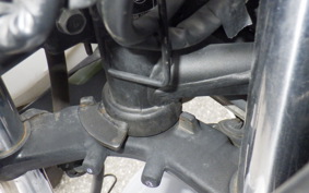 KAWASAKI NINJA 250 EX250L