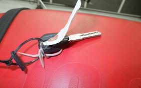 DUCATI HYPERMOTARD 950 2024