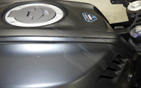 YAMAHA YZF-R15 2022