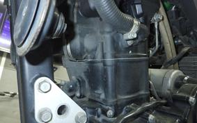 KAWASAKI KLX250D TRACKER X 2026 LX250V