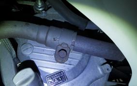 HONDA FORESIGHT SE MF04