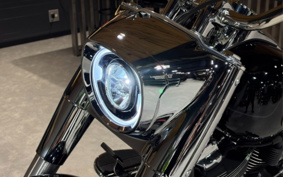 HARLEY FLFB 2025 YF9