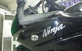 KAWASAKI NINJA 250R 2020 EX250K