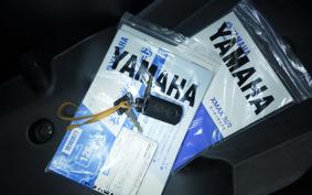 YAMAHA X-MAX 250 A SG42J