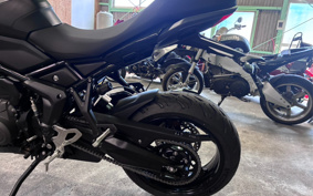 TRIUMPH TIGER SPORT 800 2026 L25P16