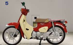HONDA C110 SUPER CUB