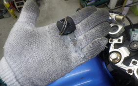 KAWASAKI NINJA 250R 2025 EX250K