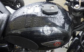 KAWASAKI W175
