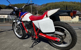 HONDA FTR250 MD17