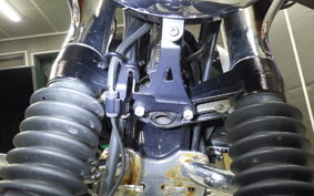 KAWASAKI W800 2019 EJ800B