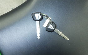 KAWASAKI ZX-25R ZX250E