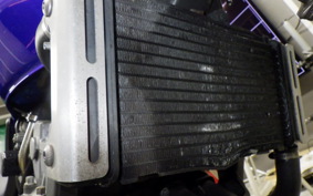 HONDA HORNET 250 2014 MC31